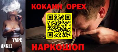 крисы Пенза