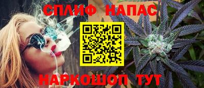 крисы Пенза