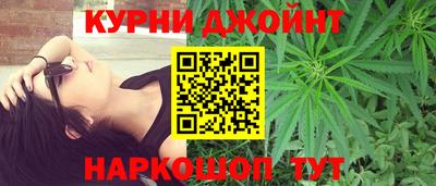 крисы Пенза