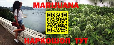 крисы Пенза