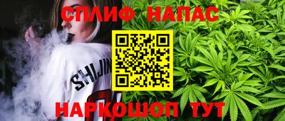 крисы Пенза