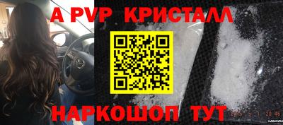 крисы Пенза